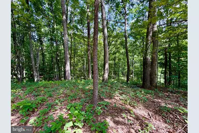 Lot 3 French Creek Road, Everett, PA 15537 - Photo 17