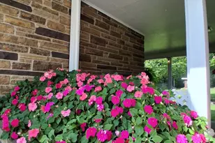 195 Sarah Furnace Rd, Imler, PA 16655 - Photo 17