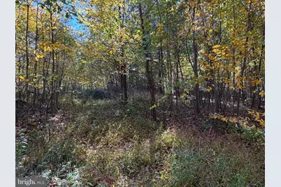 Lot 1 Dudley Road, Six Mile Run, PA 16679 - Photo 19