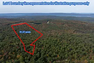 Lot 1 Dudley Rd, Six Mile Run, PA 16679 - Photo 1
