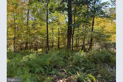 Lot 2 Dudley Road, Six Mile Run, PA 16679 - Photo 19