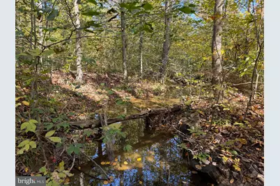 Lot 3 Dudley Road, Six Mile Run, PA 16679 - Photo 11