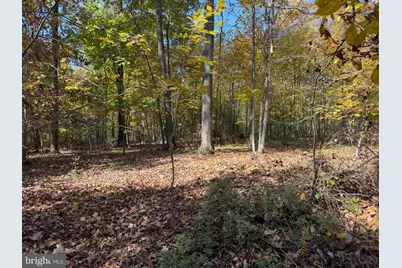 Lot 3 Dudley Road, Six Mile Run, PA 16679 - Photo 27