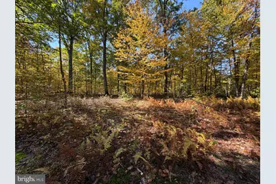 Lot 4 Dudley Road, Six Mile Run, PA 16679 - Photo 19
