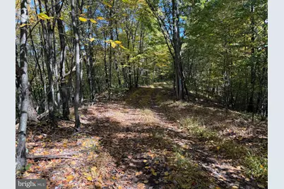 Lot 4 Dudley Road, Six Mile Run, PA 16679 - Photo 25