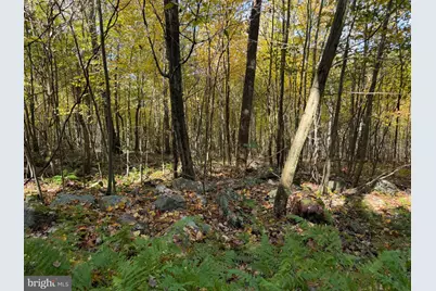 Lot 4 Dudley Road, Six Mile Run, PA 16679 - Photo 23