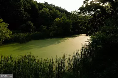 333 New Bethel Church Road, Kempton, PA 19529 - Photo 3