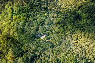 38 Lutz Rd, Boyertown, PA 19512 - Photo 49