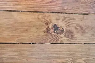 2145 Old Lancaster Pike, Reinholds, PA 17569 - Photo 99