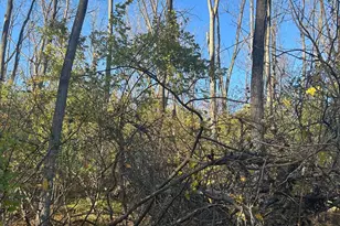 Heidel Rd, Robesonia, PA 19551 - Photo 15