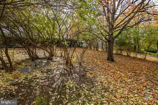 105 Clayton, Wyomissing, PA 19610 - Photo 31