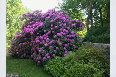 297 Forgedale Road, Barto, PA 19504 - Photo 67