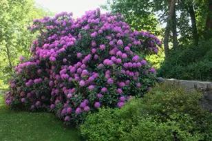 297 Forgedale Rd, Barto, PA 19504 - Photo 67