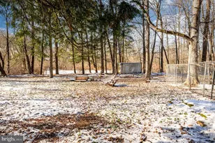 175 Forgedale Rd, Fleetwood, PA 19522 - Photo 39