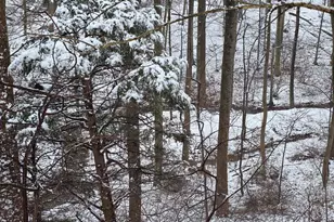 360 Pheasant Rd, Mohnton, PA 19540 - Photo 29