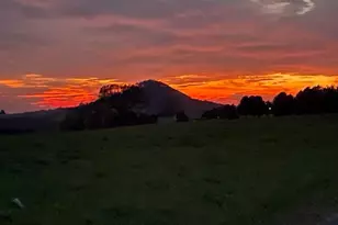 220 Dietrich Rd, Kempton, PA 19529 - Photo 105