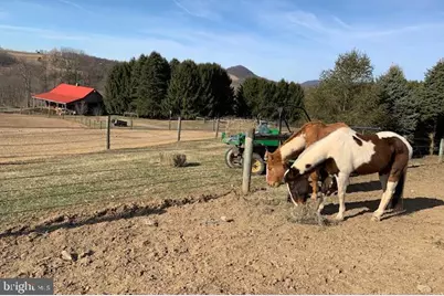 220 Dietrich Road, Kempton, PA 19529 - Photo 91