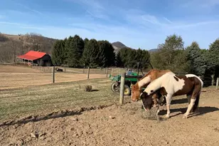 220 Dietrich Rd, Kempton, PA 19529 - Photo 91