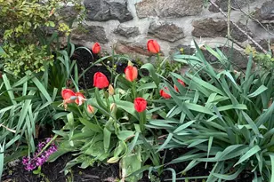 40 W 2nd St, Boyertown, PA 19512 - Photo 41