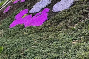 410 Friedensburg Rd, Reading, PA 19606 - Photo 19