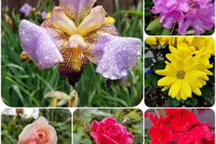 16 Scotland Dr, Reading, PA 19606 - Photo 79