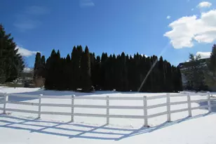 17 Wilt Rd, Bechtelsville, PA 19505 - Photo 31