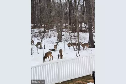 402 Mountainside Road, Temple, PA 19560 - Photo 11