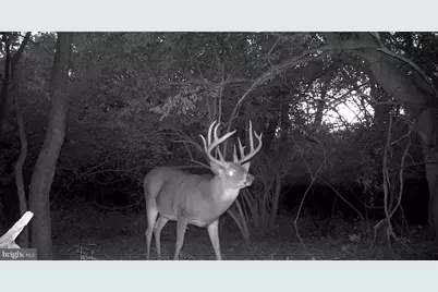 181 Fort Road, Bernville, PA 19506 - Photo 43