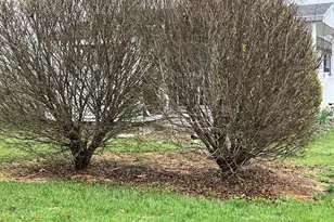 2 Locust Ln, Womelsdorf, PA 19567 - Photo 37