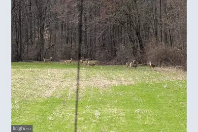 210 Alleghenyville Road, Mohnton, PA 19540 - Photo 87