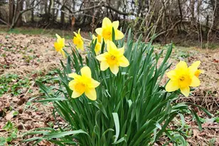 444 N Heidelberg Rd, Robesonia, PA 19551 - Photo 47