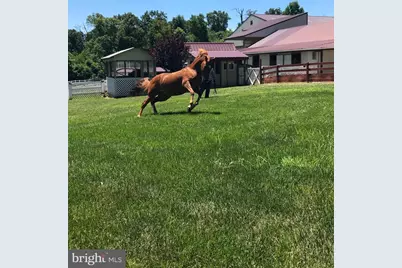 310 Mail Route, Sinking Spring, PA 19608 - Photo 41