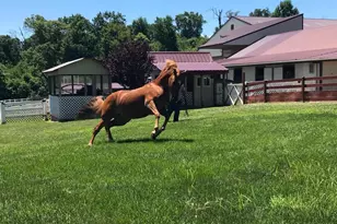 310 Mail Rte, Sinking Spring, PA 19608 - Photo 41
