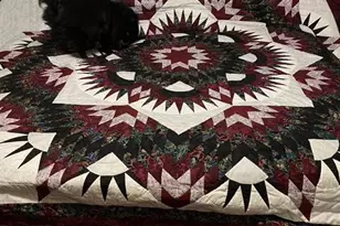 111 Independence Ct, Blandon, PA 19510 - Photo 13