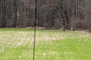 210 Alleghenyville Rd, Mohnton, PA 19540 - Photo 87