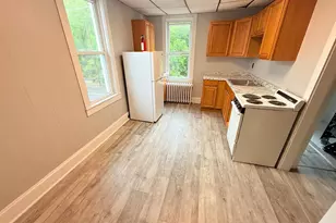 145 Spring Valley Rd, Muhlenberg Township, PA 19605 - Photo 33