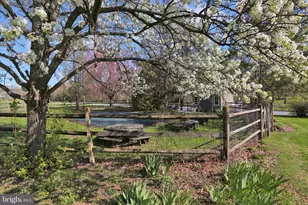 506 Wiest School Rd, Oley, PA 19547 - Photo 5