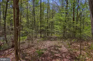 3278 Camp Swatara Rd, Bethel, PA 19507 - Photo 31