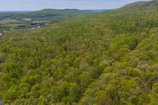 3278 Camp Swatara Rd, Bethel, PA 19507 - Photo 13