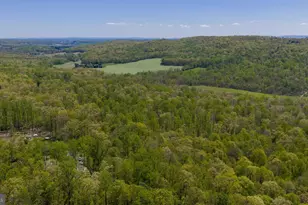 3278 Camp Swatara Rd, Bethel, PA 19507 - Photo 5