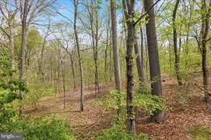 13 Nassau Cir, Reading, PA 19607 - Photo 9