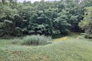 808 Sycamore Rd, Mohnton, PA 19540 - Photo 57