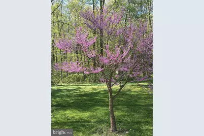 425 Swamp Road, Morgantown, PA 19543 - Photo 11