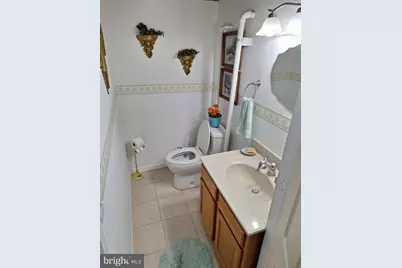 423 S Baumstown Road, Birdsboro, PA 19508 - Photo 43