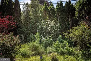 1618 Garfield Ave, Reading, PA 19610 - Photo 41