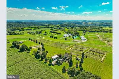 63 Long Road, Lenhartsville, PA 19534 - Photo 15