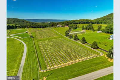 63 Long Road, Lenhartsville, PA 19534 - Photo 25