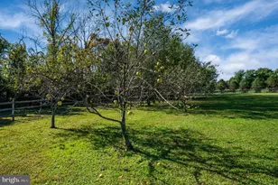 115 Sunny Ct, Leesport, PA 19533 - Photo 67
