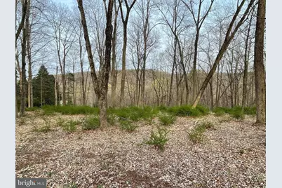 421 River Road, Pipersville, PA 18947 - Photo 5