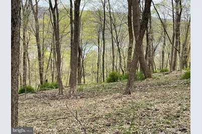 421 River Road, Pipersville, PA 18947 - Photo 3